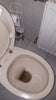 GEL PRO WC - DETARTRANT - TRACE DE ROUILLE - MultiShop.lu